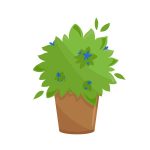 草坪種植的基本入門指南
