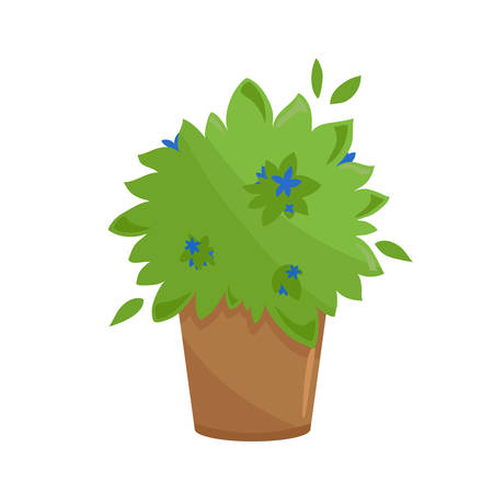 草坪種植的基本入門指南