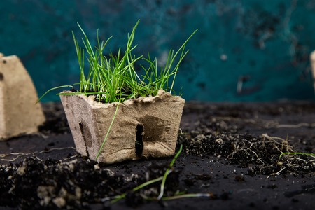 如何將動物骨粉轉化為高磷有機肥