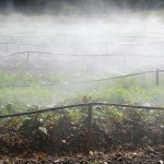 如何透過節水灌溉技術提高農業產量