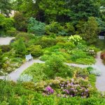 打造夢幻歐式花園：如何規劃與設計完美庭院