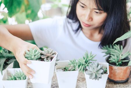 陽台種植香草植物：迷迭香、羅勒、薄荷養護技巧