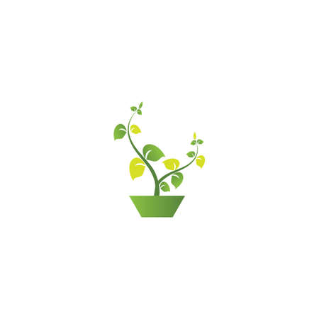 三、四季花卉的搭配原則