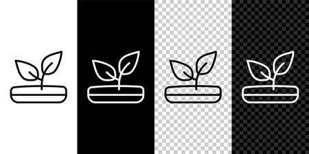 病害防治方法