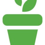 草坪修剪與美觀設計：如何打造有層次感的花園草坪