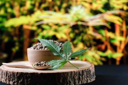 合適的盆器選擇對室內植物生長的重要性