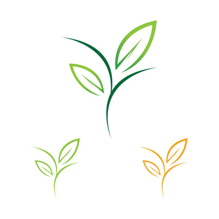 熱帶水果栽培的土壤要求