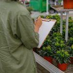 書桌植物擺放指南：兼具美觀與提升工作效率