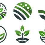 天然有機肥料的製作與應用：新手全攻略
