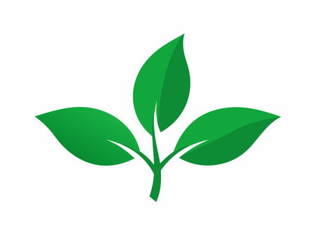 噴泉的種類與設計原則