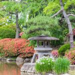 日式庭園與四季景觀的設計特色