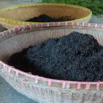 自製有機肥：從廚餘到肥料的轉化過程