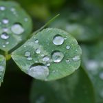 雨水收集與利用的基礎知識與概念