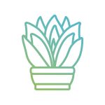 農民如何降低成本並提高效率：節水灌溉的經濟效益
